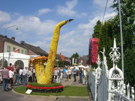 Lottum : Ortskern, Rosenfestival 2008